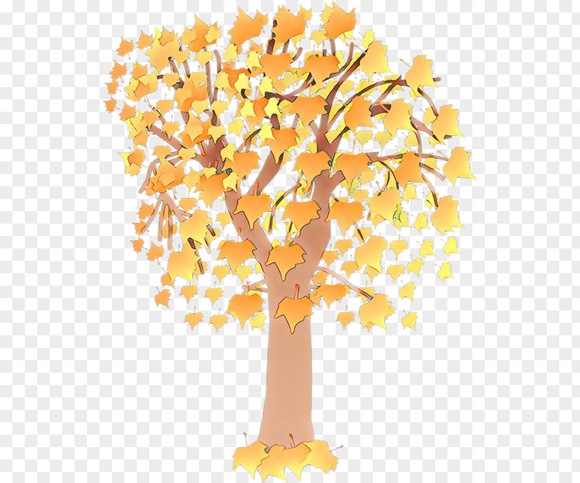 Deciduous Autumn Tree Yellow Woody Plant Leaf PNG