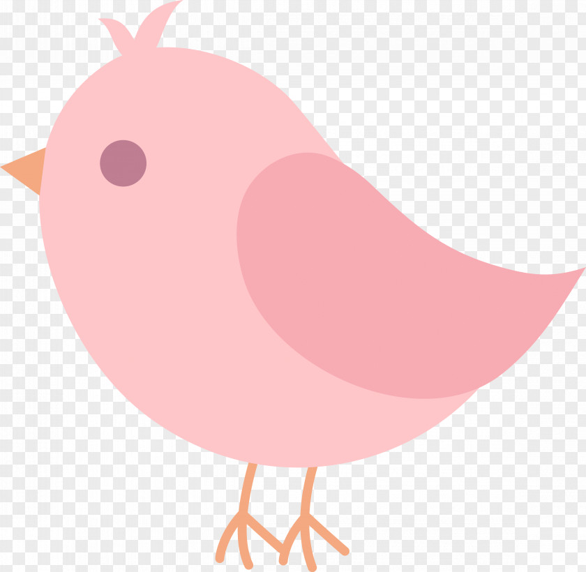 Flock Of Birds Bird Drawing Clip Art PNG