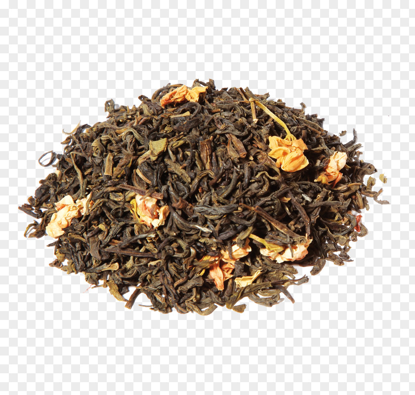 Green Tea Matcha Sencha Jasmine PNG