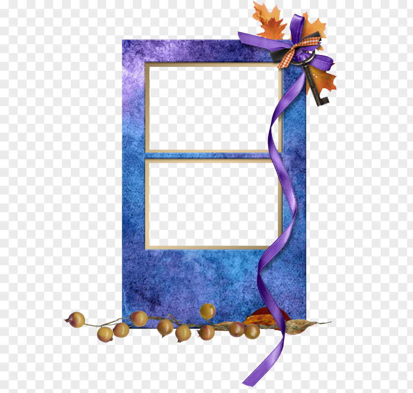 Netscape Picture Frames Rectangle PNG