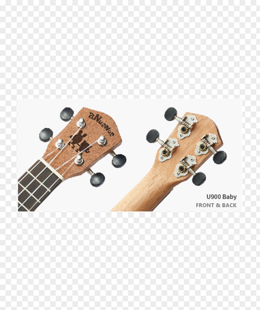 Acoustic Guitar Acoustic-electric Bass Ukulele PNG