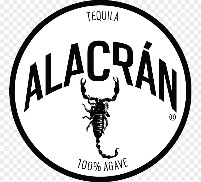 Agave Logo Tequila Mezcal Brand Invertebrate PNG