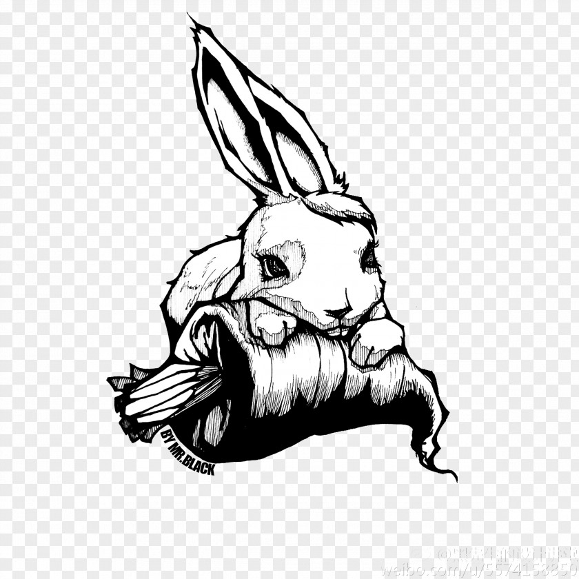 Creative Rabbit Black And White Creativity Croquis Sketch PNG