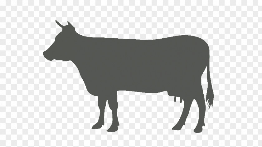 The Name Of Article Beef Cattle Livestock PNG