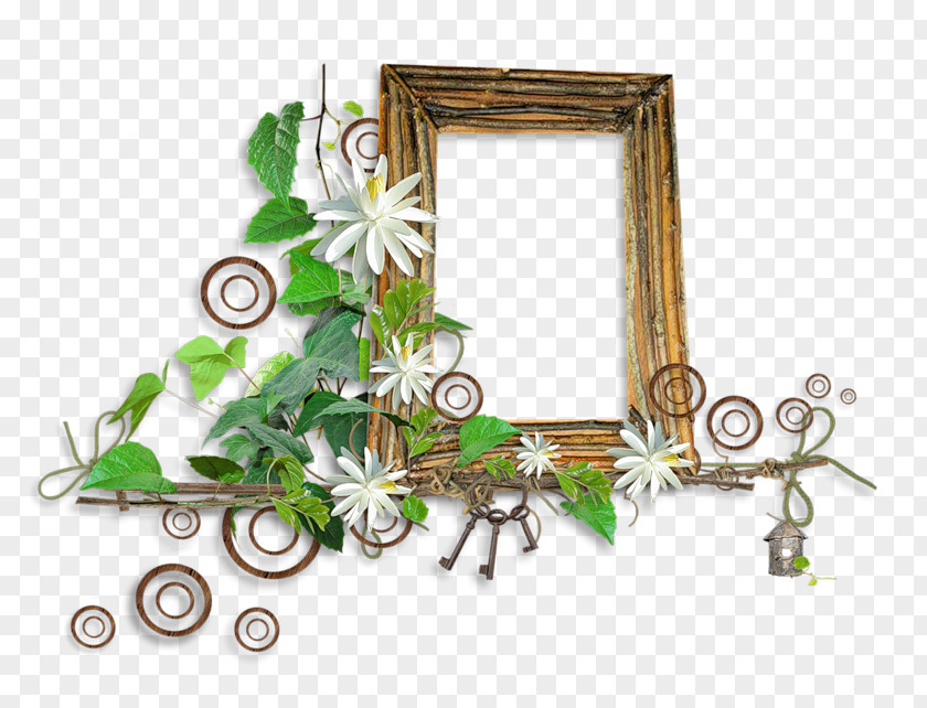 Design Picture Frames PNG