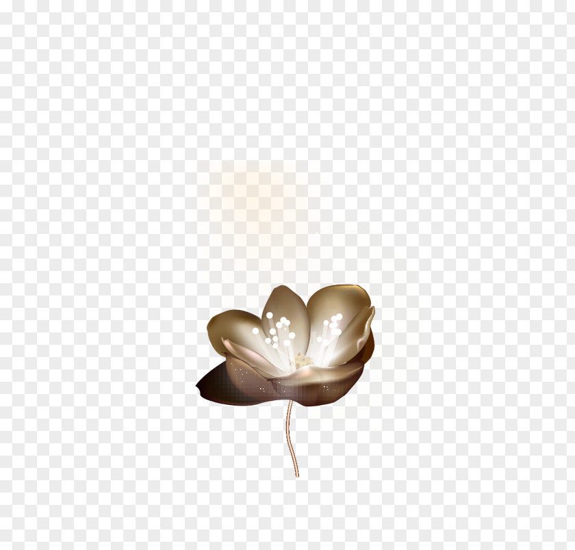 Fantasy Golden Lotus Petal PNG