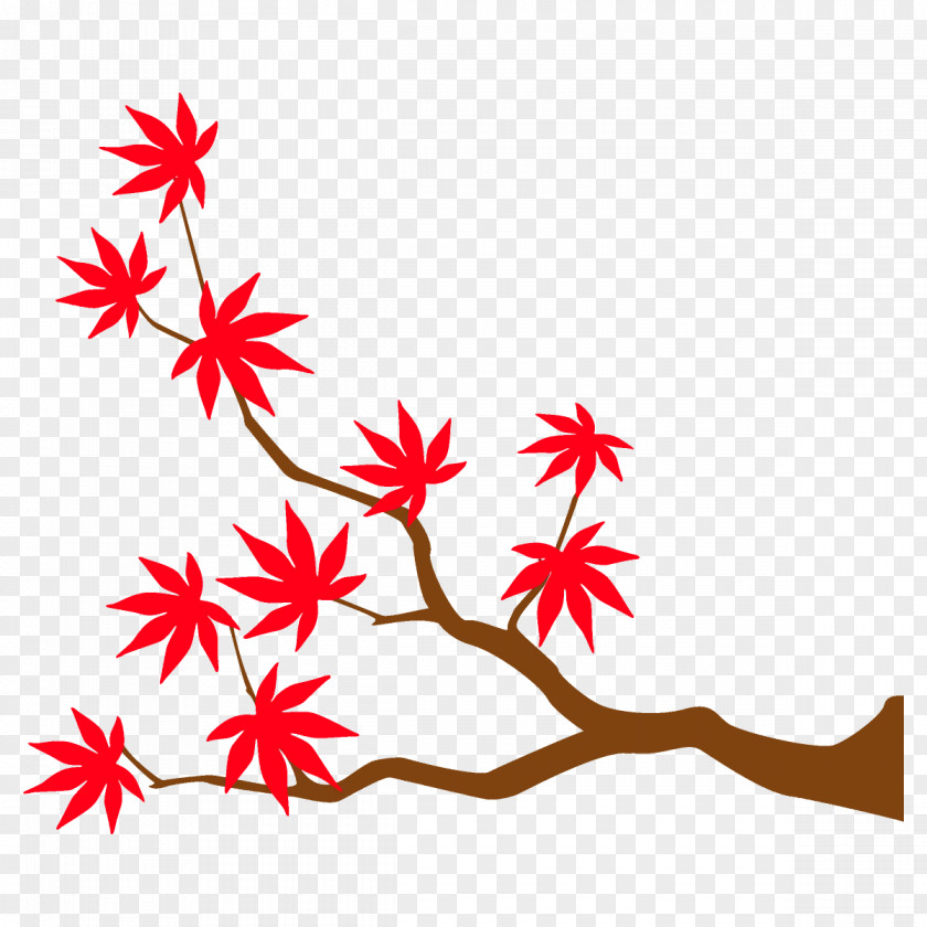 Flower Tree Maple Branch Leaves Autumn PNG