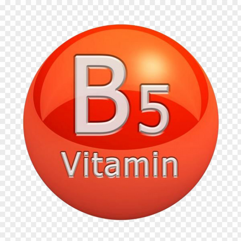 Health Dietary Supplement Pantothenic Acid B Vitamins Biotin PNG