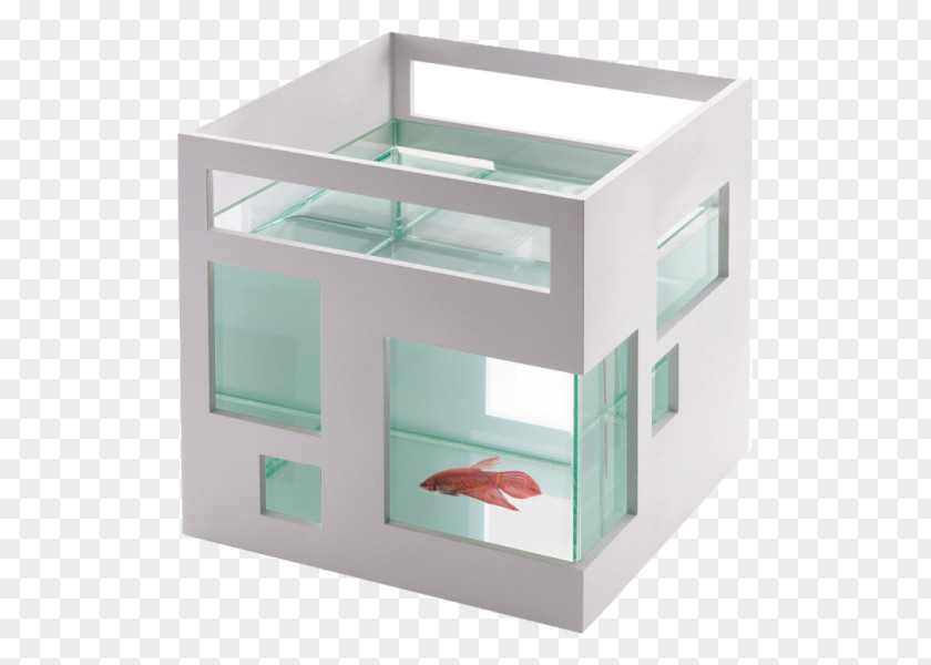Hotel Umbra Fishhotel Siamese Fighting Fish Aquarium PNG
