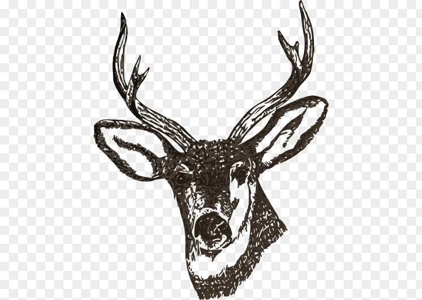 Large Deer Head Red White-tailed Douchegordijn Moose PNG
