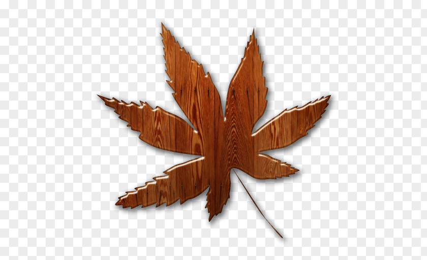 Leaf Maple Cannabis Sativa PNG