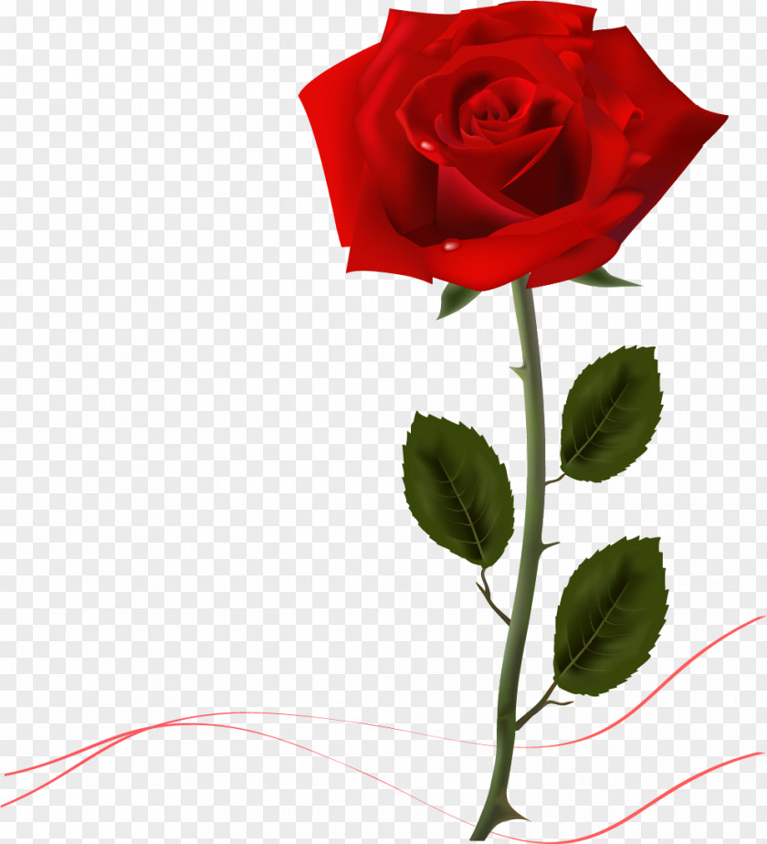 Mothers Day Rose Desktop Wallpaper Clip Art PNG