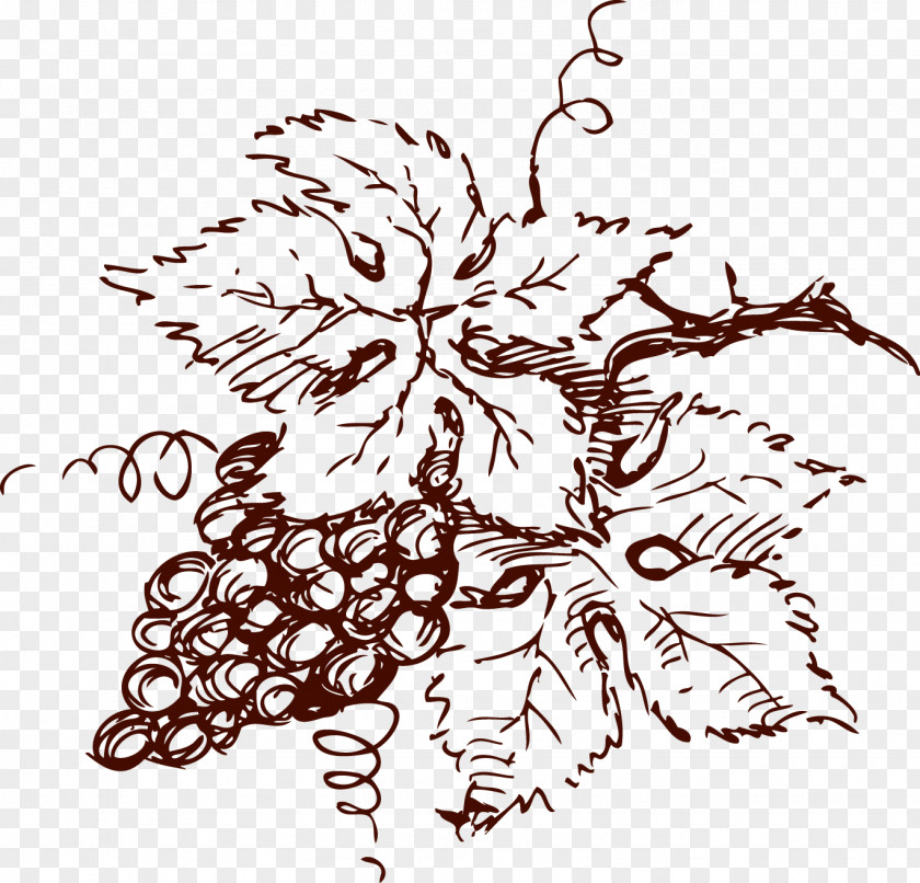 Rose Red Grape Logo Wine Drawing Chardonnay Grenache PNG