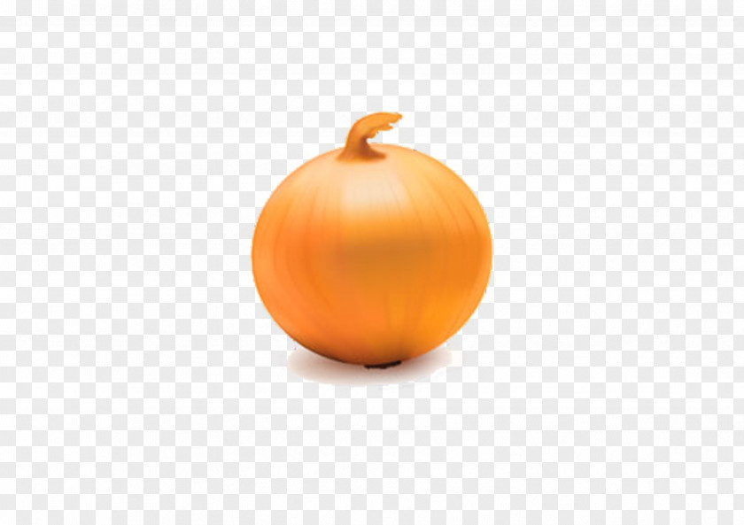 Hand-painted Onion Calabaza Pumpkin Winter Squash Wallpaper PNG