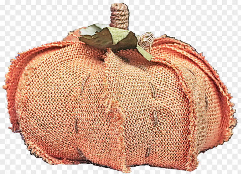 Peach Pumpkin PNG