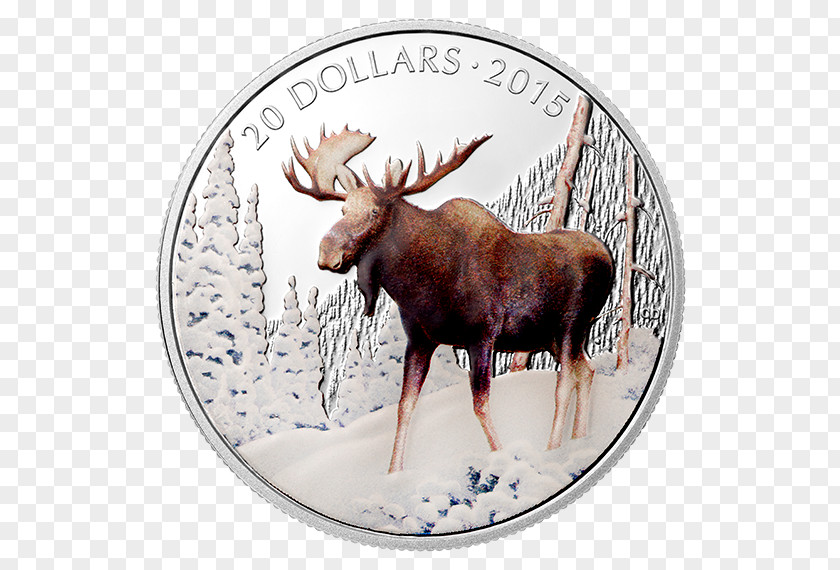 Reindeer Moose Antler Dollar Coin PNG
