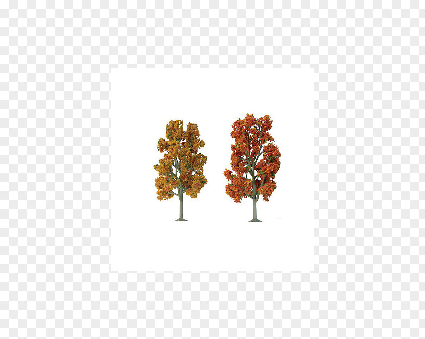 Tree O Scale American Sycamore Pine Autumn PNG