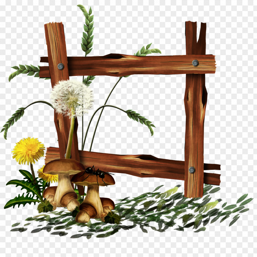 Wooden Frame PNG