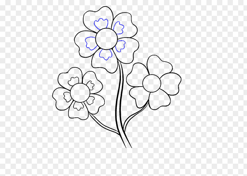Flower Drawing Cartoon Sketch PNG