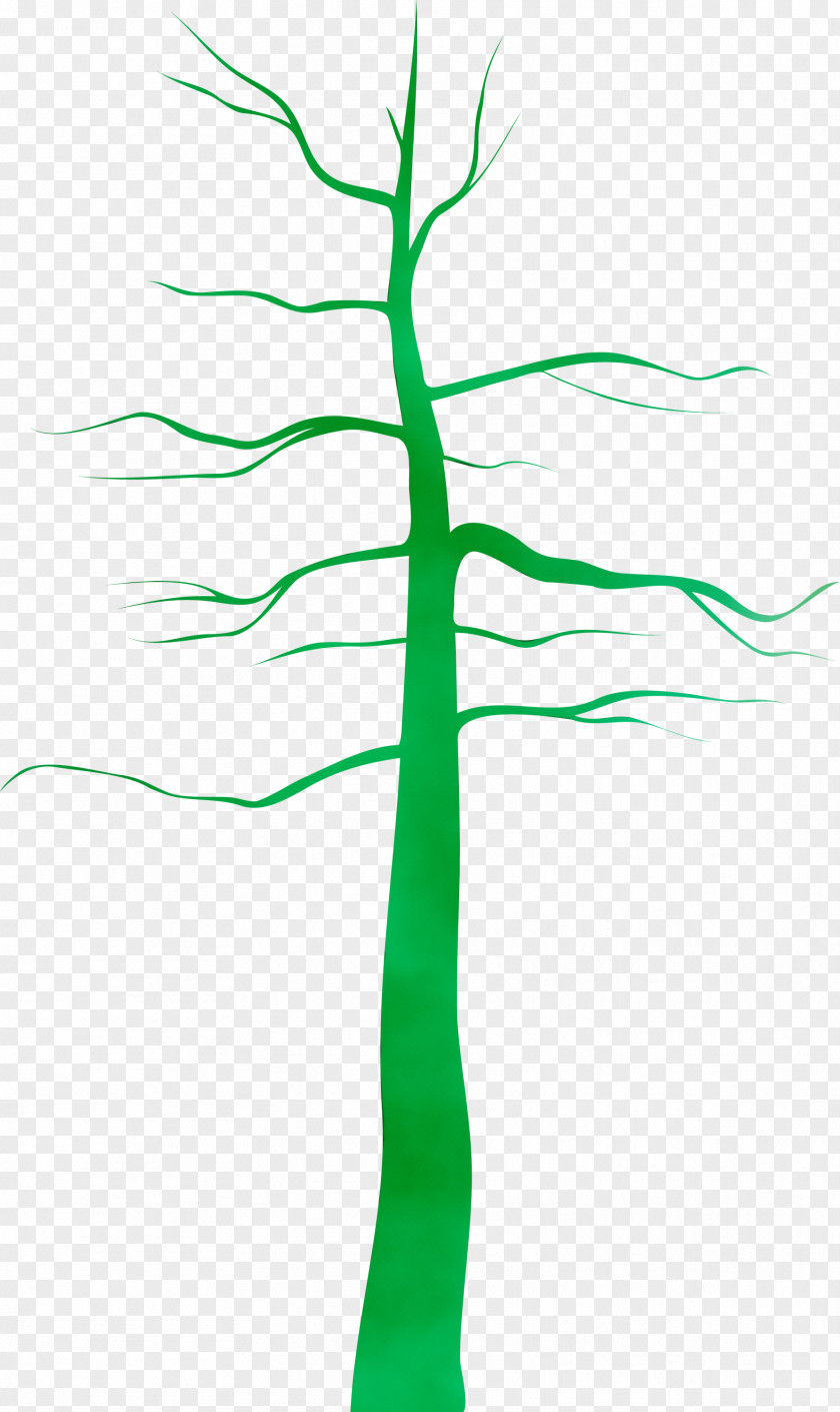 Green Leaf Line Tree Plant Stem PNG