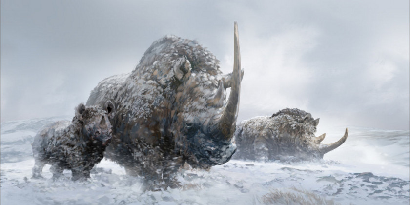 Rhino Prehistory Elasmotherium Prehistoric Mammal Woolly Rhinoceros Animal PNG