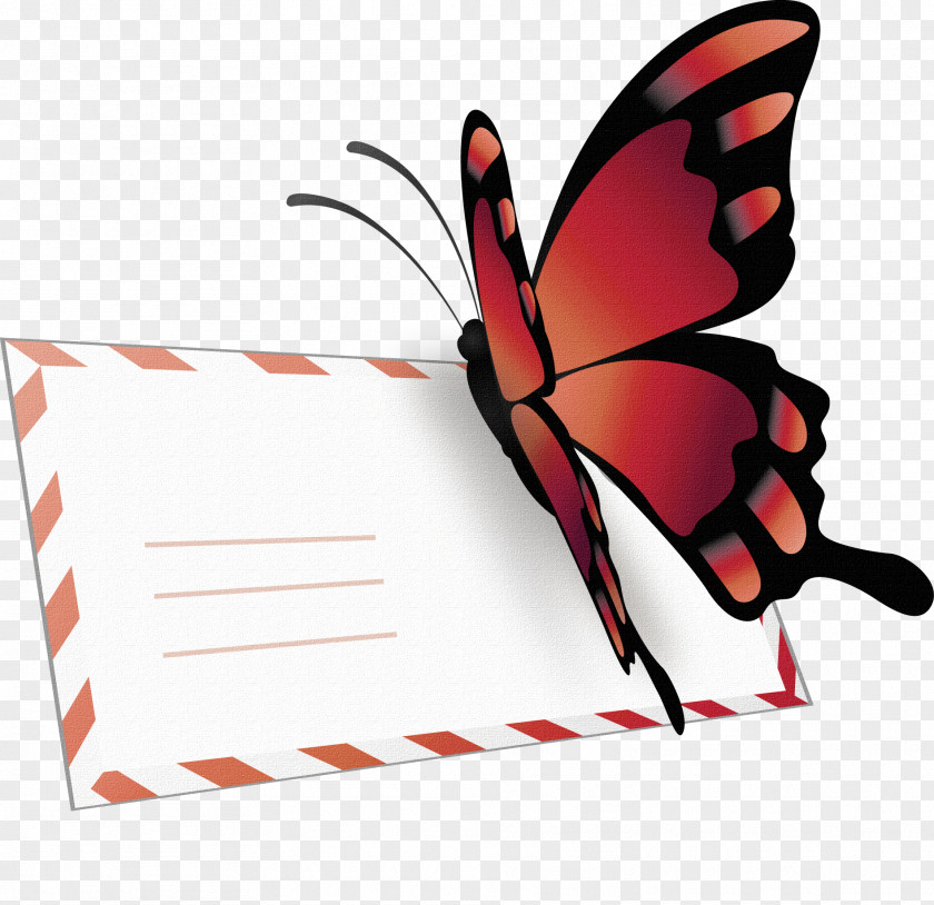 Envelope Butterfly Paper Cartoon PNG