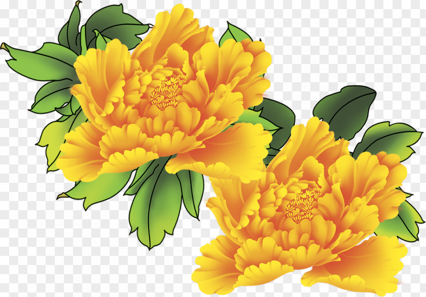 Flower Cut Flowers Floral Design Floristry Pot Marigold PNG