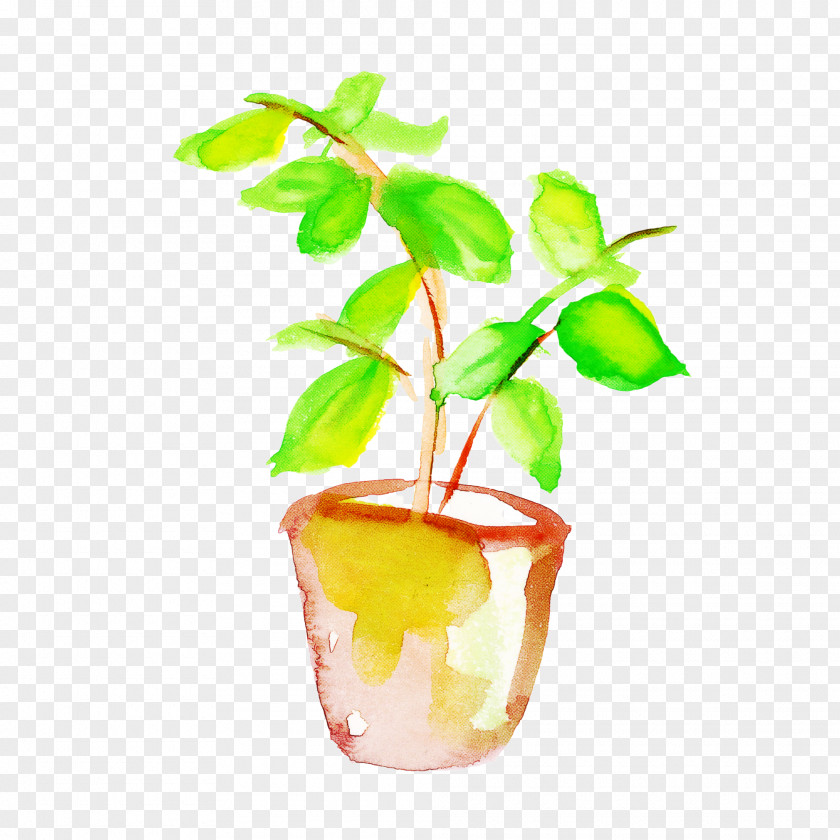 Flowerpot Leaf Houseplant Plant Flower PNG