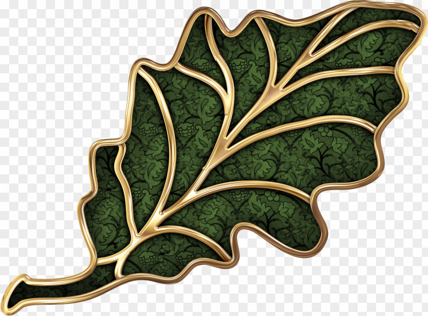Ginkgo Oak Leaf Cluster Digital Image PNG