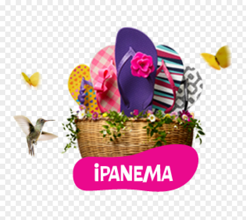 Ipanema 2013 Rock In Rio Food Gift Baskets De Janeiro Hamper Brazilian Institute Of Environment And Renewable Natural Resources PNG