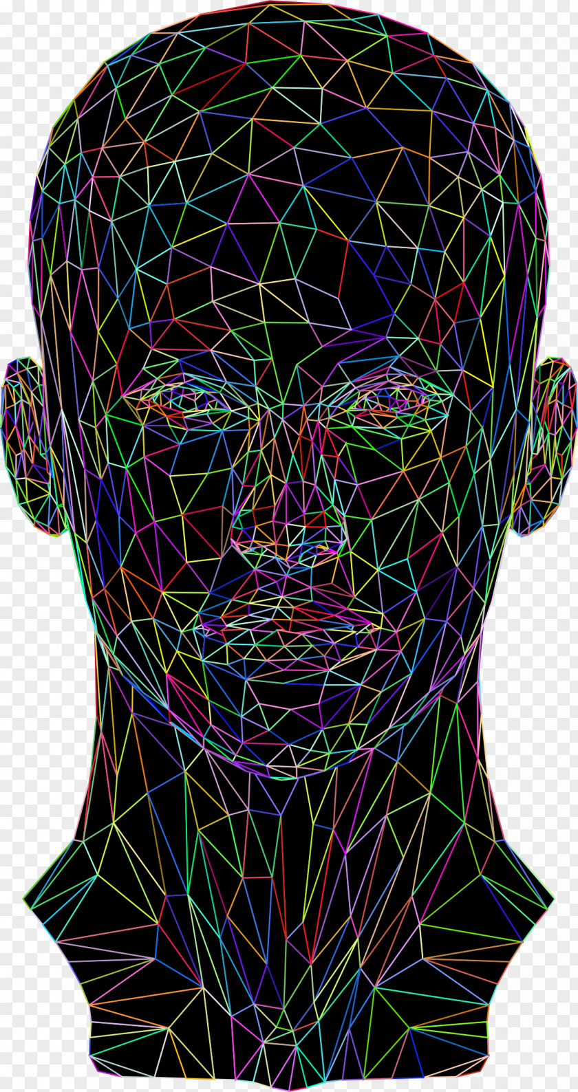 Low Poly Head Website Wireframe Wiring Diagram PNG