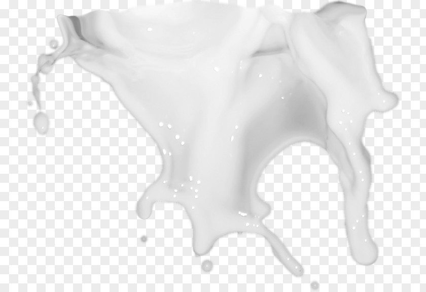 Milk White Splash PNG