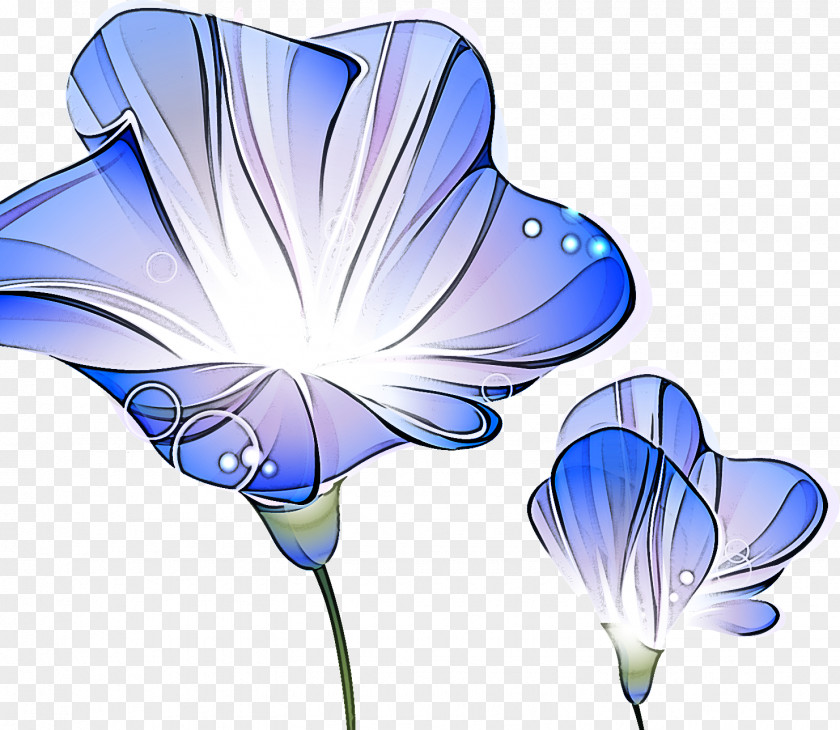 Morning Glory Summer Flower PNG