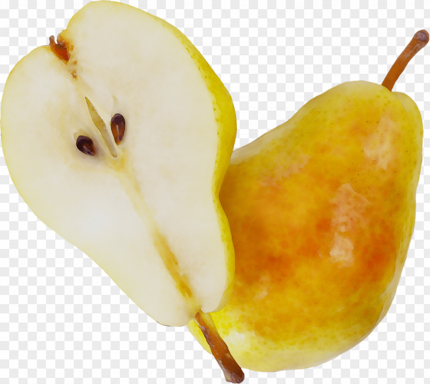 Pear Still Life Photography Accessory Fruit PNG