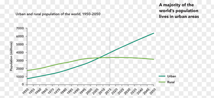 World Population Day United States Economic Forum Wallacea Research PNG