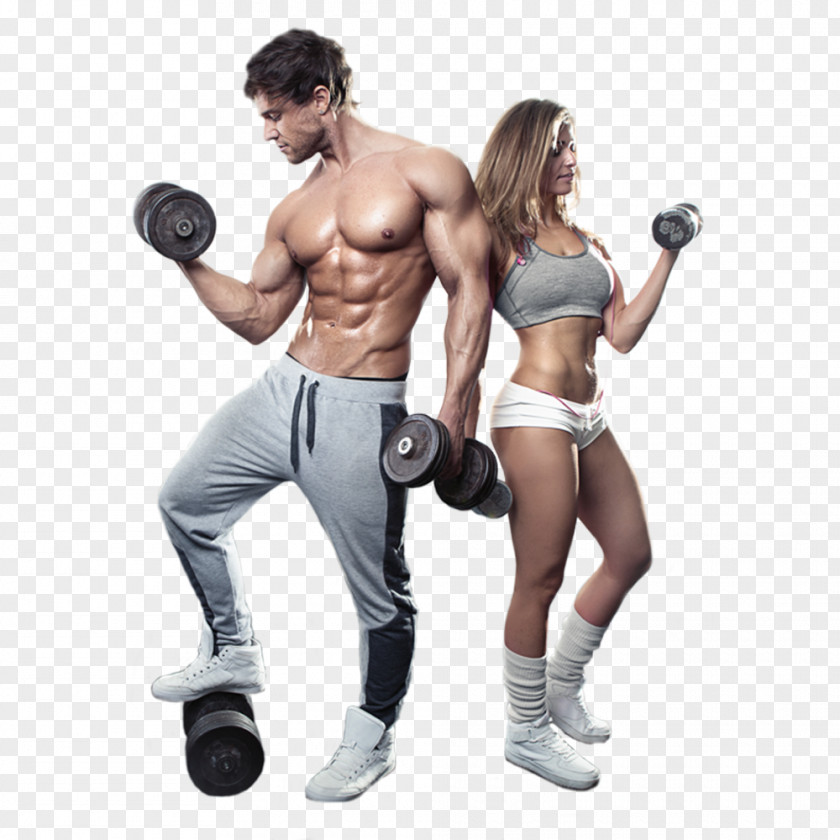 Bodybuilding Physical Fitness Exercise Centre PNG