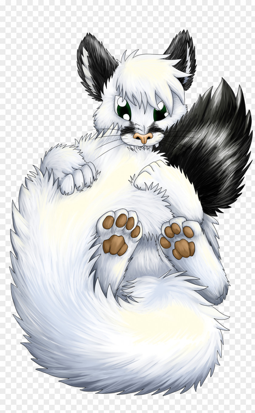 Cat Whiskers Bear Canidae Dog PNG