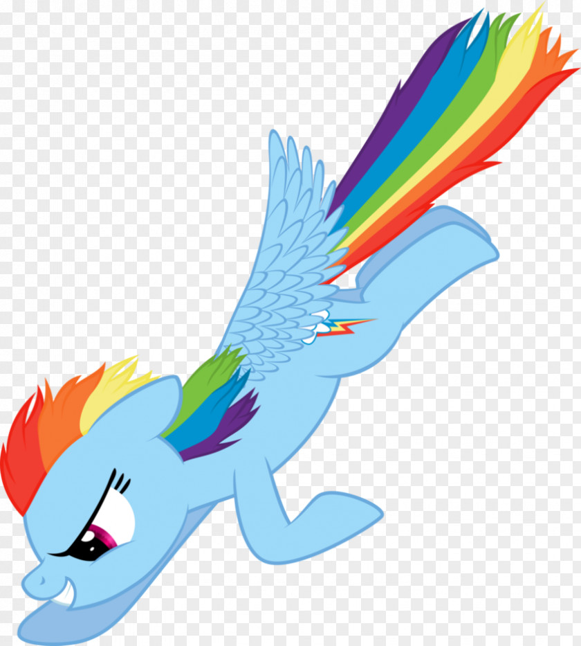 Dive Vector Macaw Rainbow Dash Beak Art PNG