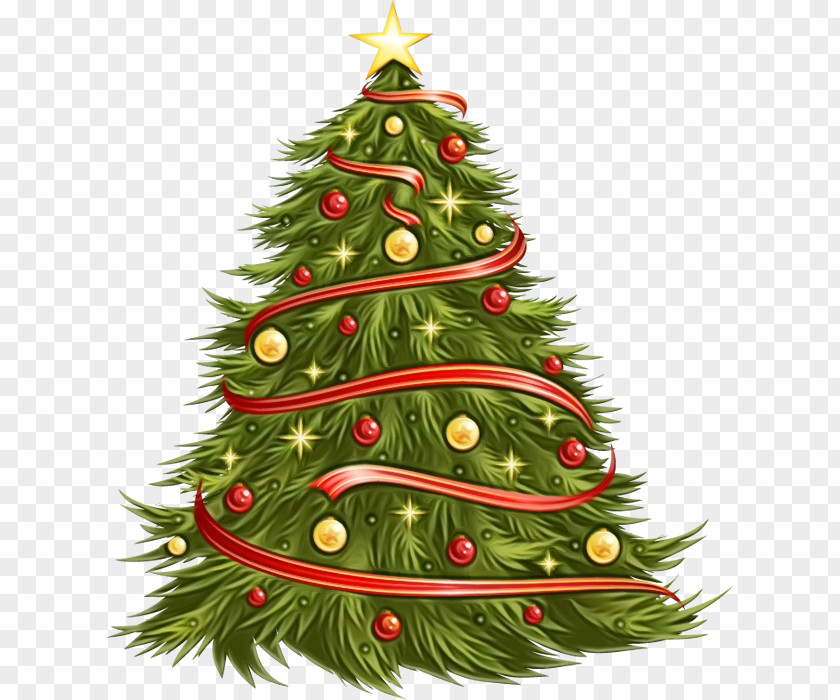Evergreen Holiday Ornament Christmas Tree PNG