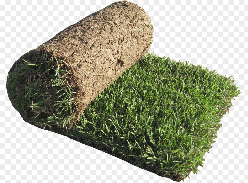 Sod House Lawngrass Roller PNG