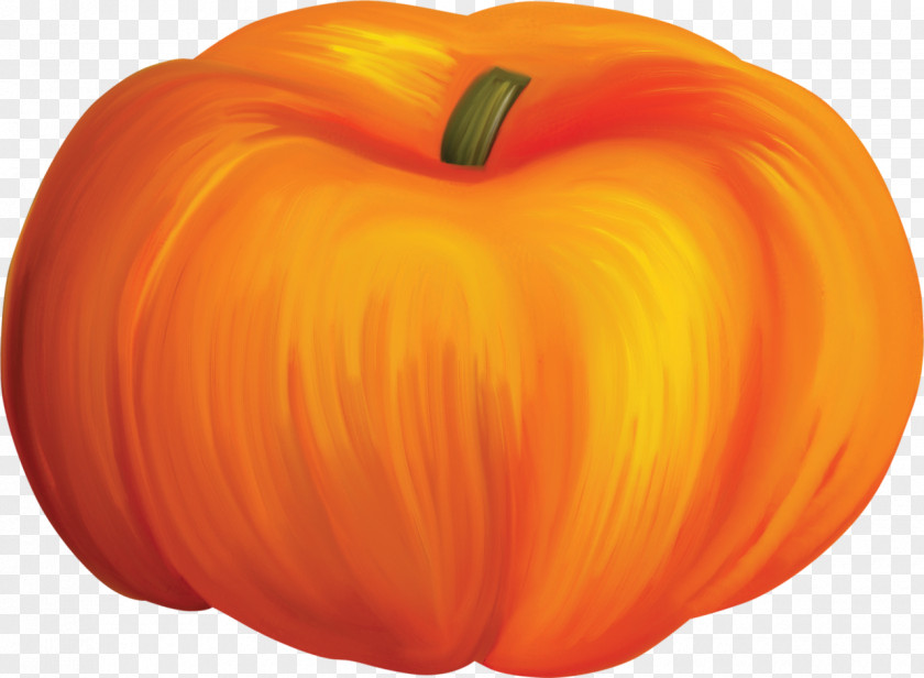 Thanks Giving Calabaza Cucurbita Pumpkin Winter Squash Jack-o'-lantern PNG