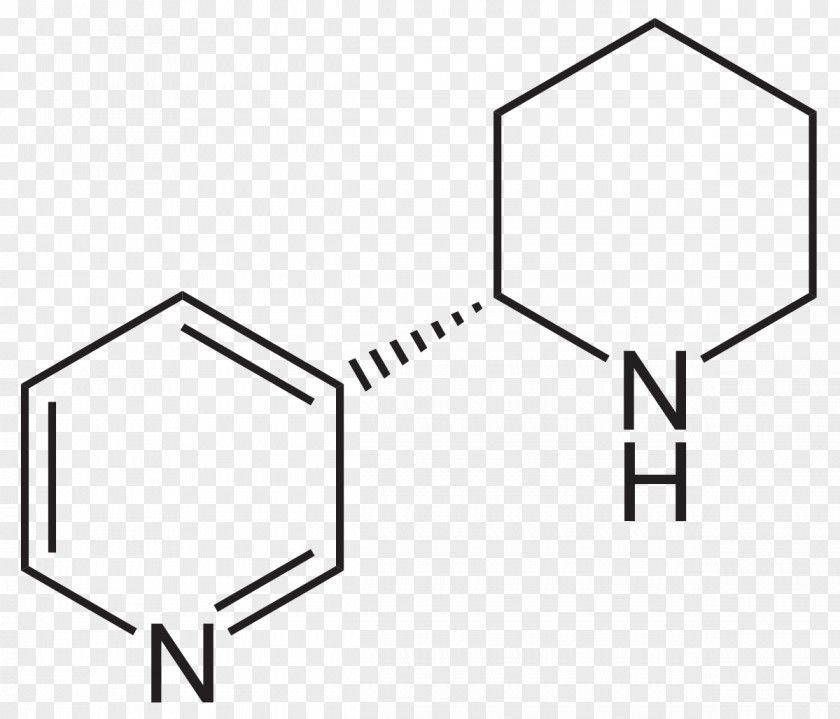 Basin Nicotine Anabasine Chemical Substance Nicotinic Acetylcholine Receptor Compound PNG