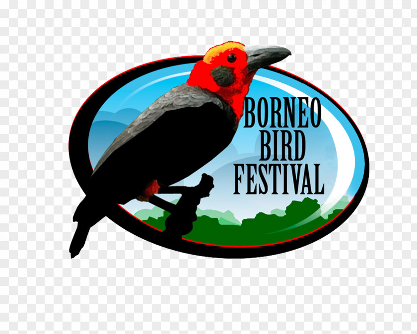 Bird Sandakan East Malaysia Tambunan Festival PNG