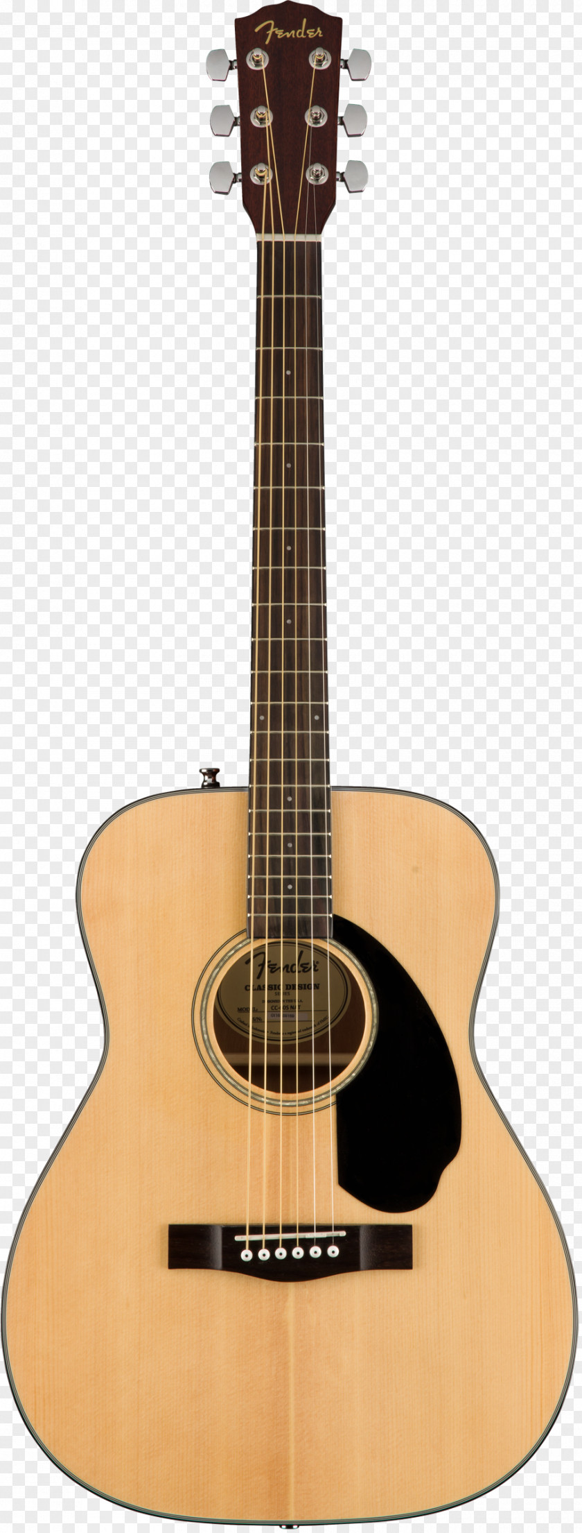 Electric Guitar Steel-string Acoustic Fender Musical Instruments Corporation PNG