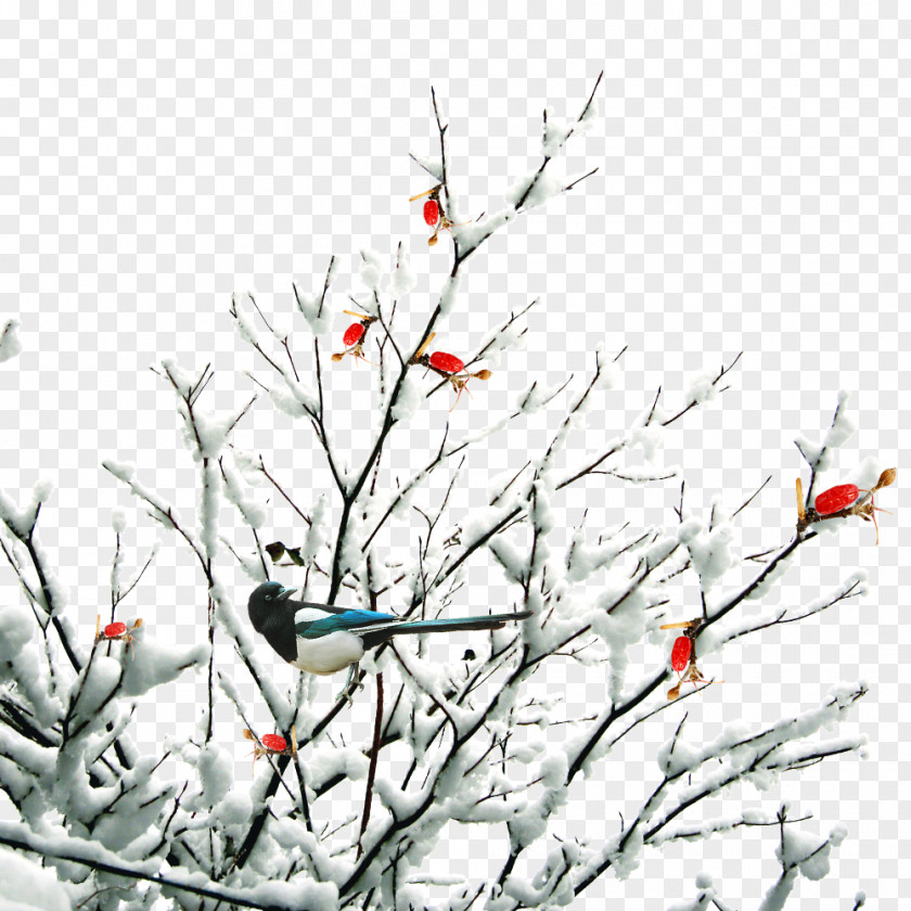 Free Creative Pull Twigs Winter Snows Twig Daxue Snow PNG