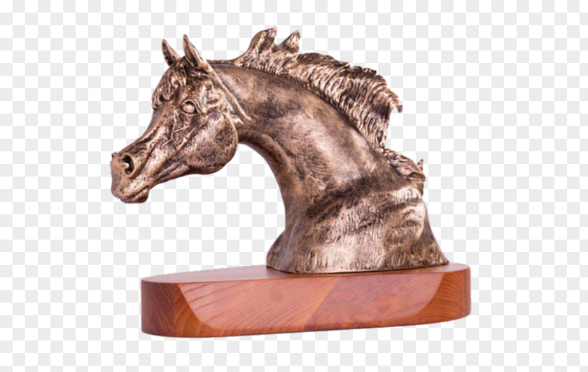 Horse Awards Recognition Concepts Trophy Medal PNG