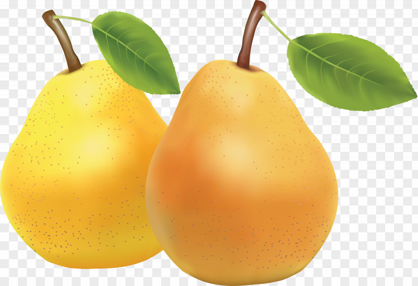 Pear Juice Fruit Drawing Clip Art PNG