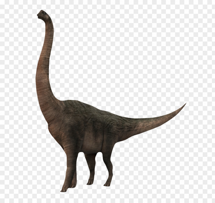 Walking Neck Dinosaur Cat PNG