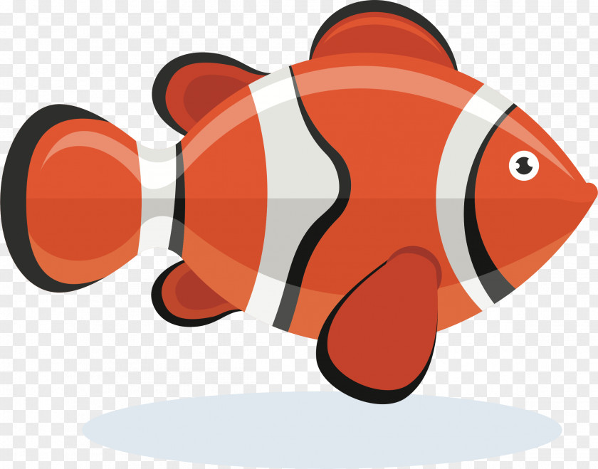 Clown Fish Clip Art Openclipart Drawing Image Vector Graphics PNG