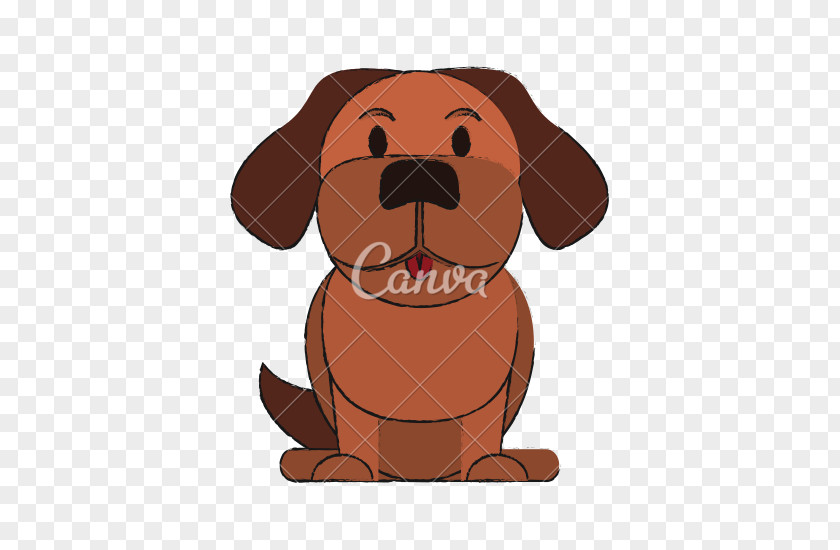 Cute Dog Photography PNG